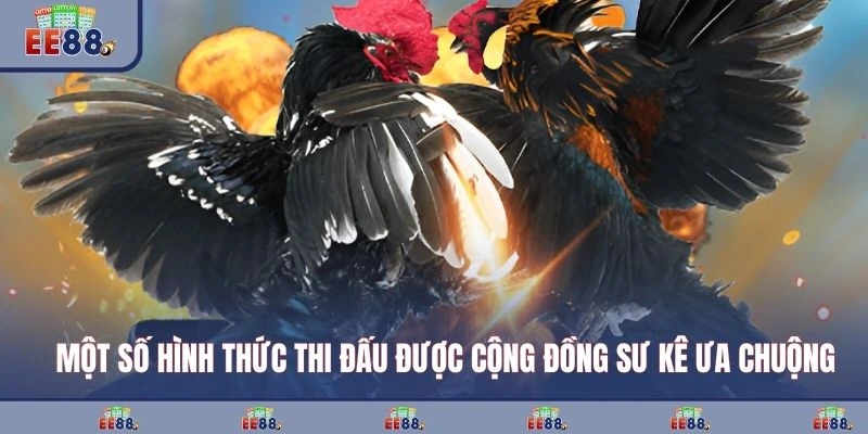 Một số hình thức thi đấu được cộng đồng sư kê ưa chuộng